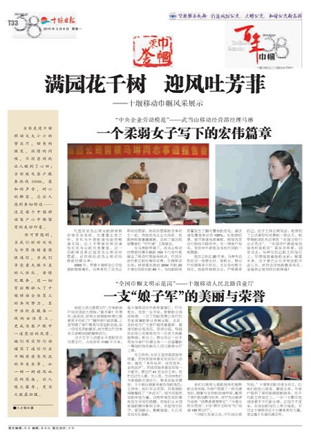 T33版导读