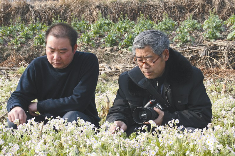 记者毛鸿全 2月23日,竹溪县乡土植物专家甘启良正式通过媒体对外宣布