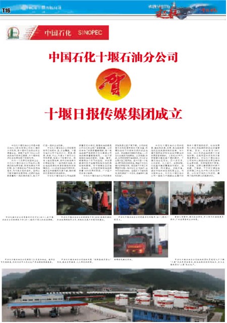 T16版导读