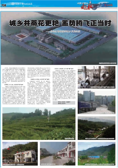 T38版导读