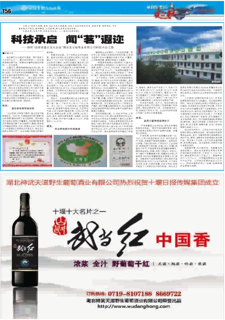 T56版导读