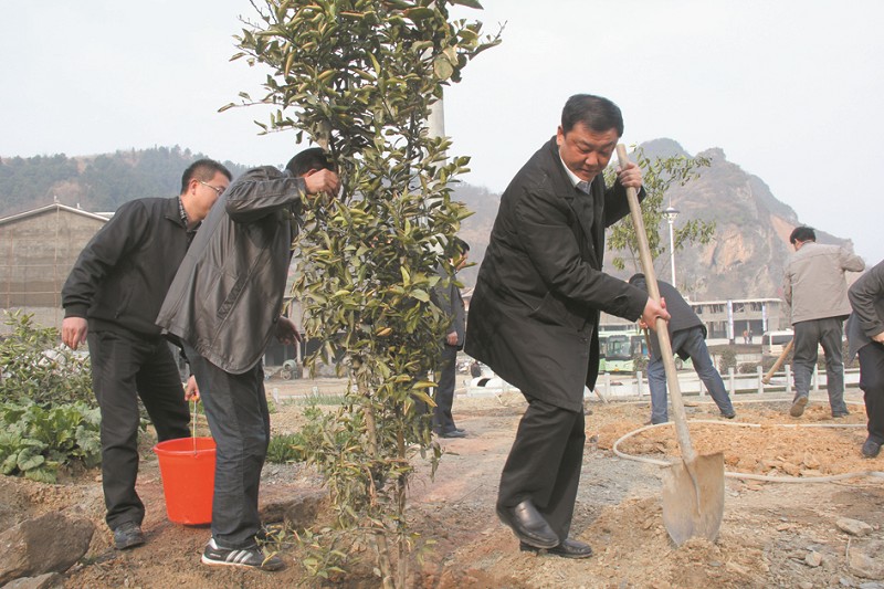 竹溪县委书记余春存(右)参加义务植树.