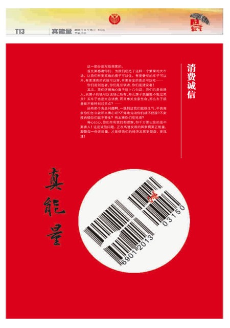 T13版导读