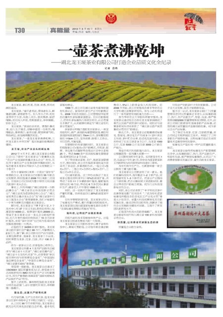 T30版导读