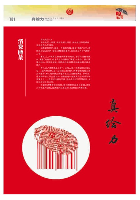 T31版导读
