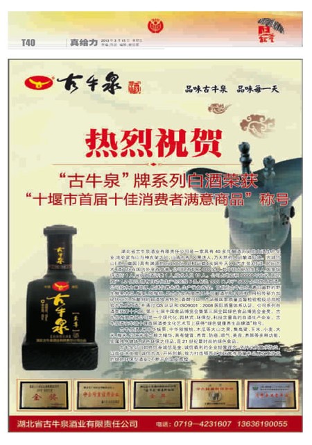 T40版导读