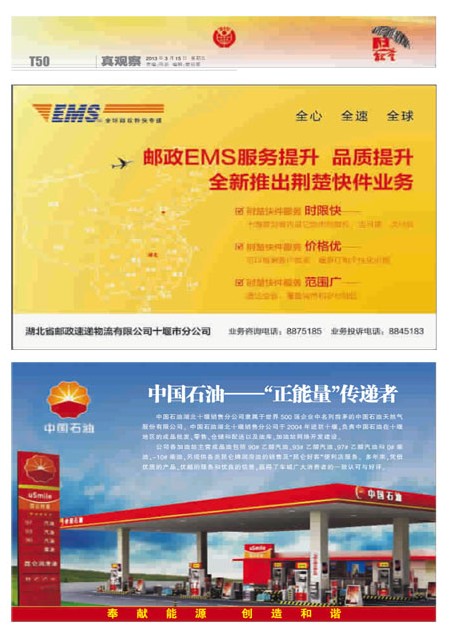 T50版导读