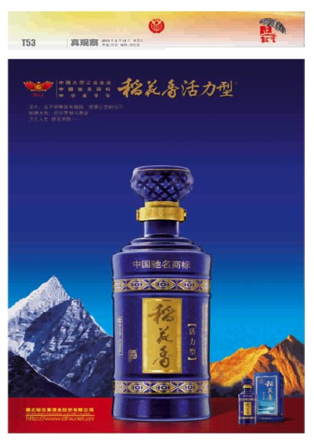 T53版导读