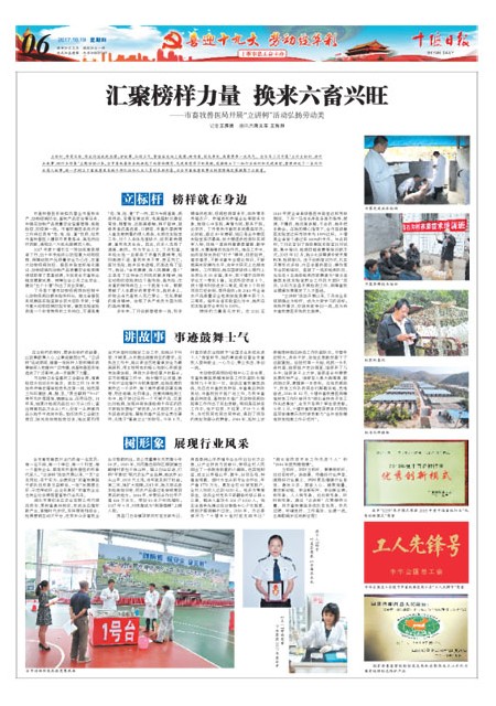 6版导读