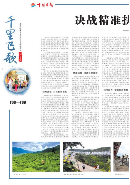 T08版导读