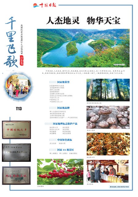 T13版导读