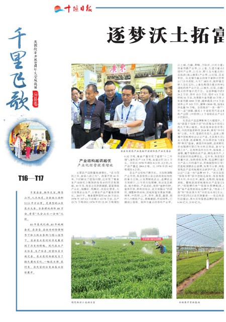 T16版导读
