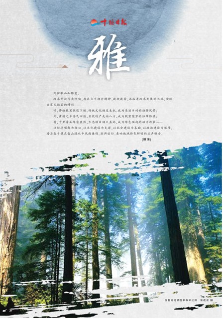 T33版导读