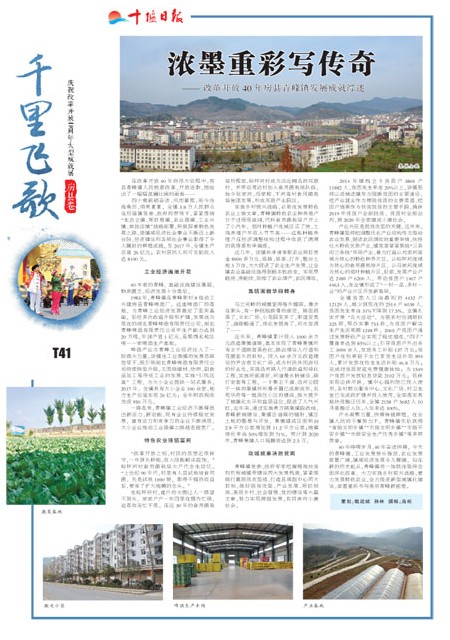 T41版导读