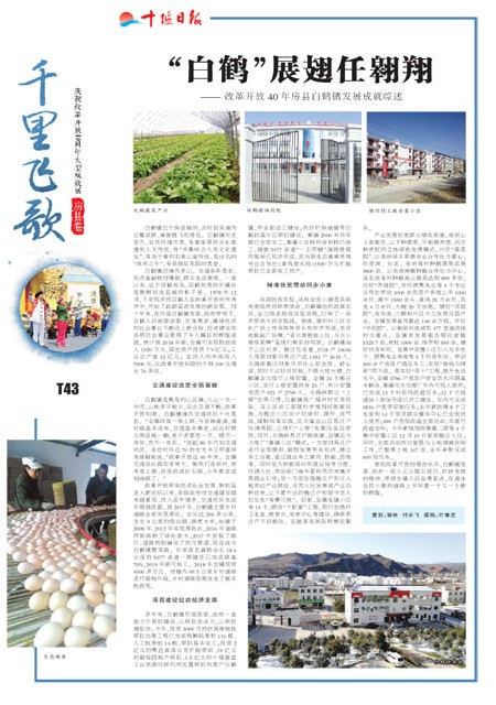T43版导读