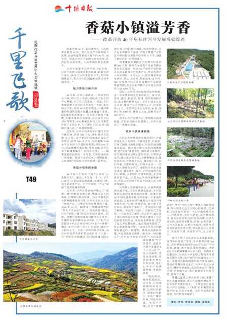 T49版导读