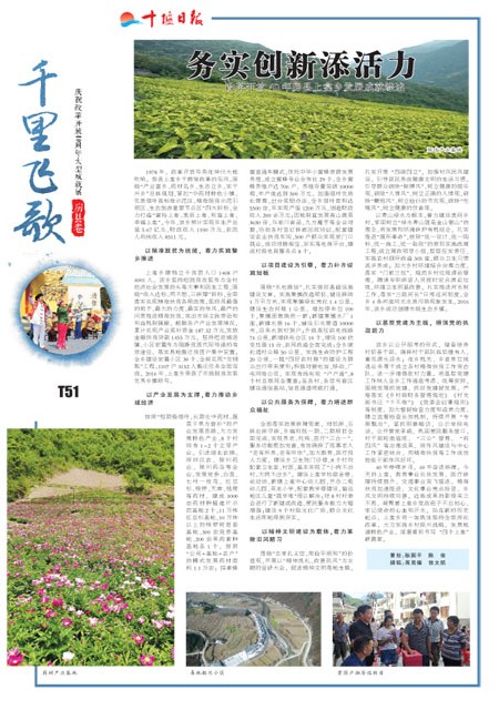 T51版导读