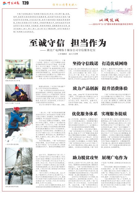T20版导读