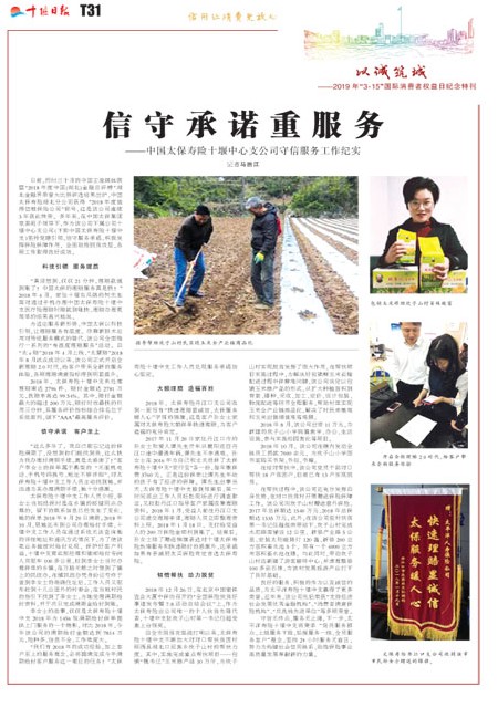 T31版导读