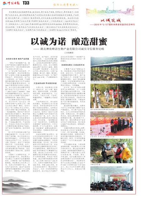 T33版导读