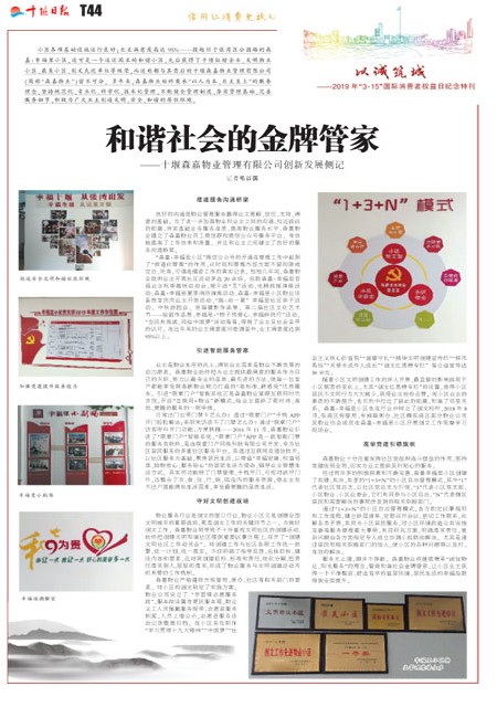 T44版导读