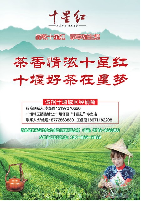T49版导读