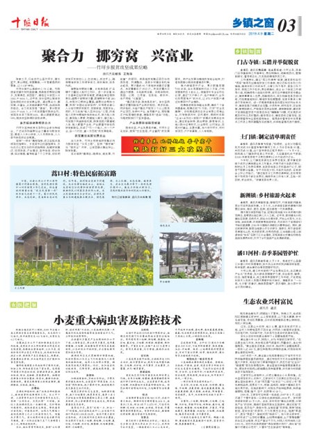 3版导读