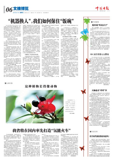 6版导读