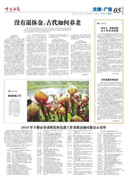 5版导读