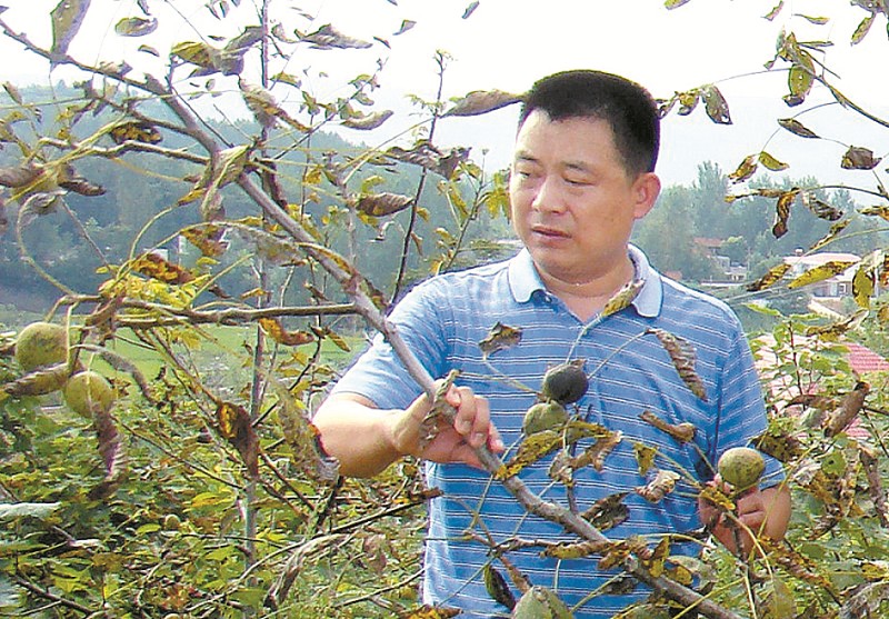 范元君乡亲致富的领头雁