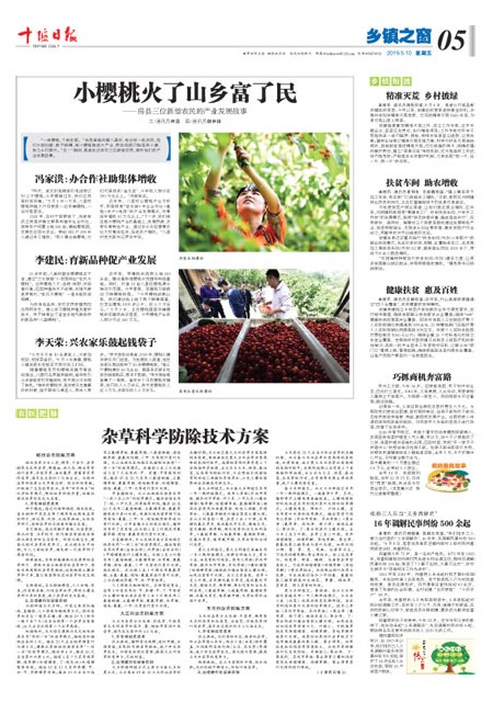 5版导读