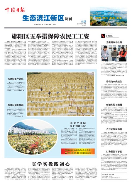 5版导读