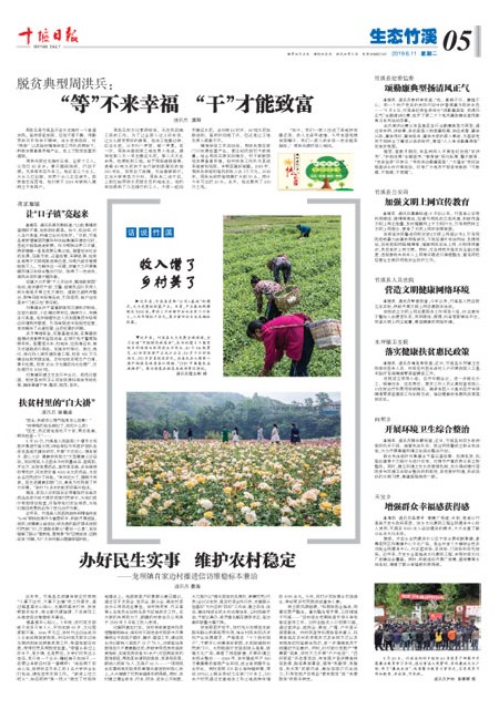A5版导读