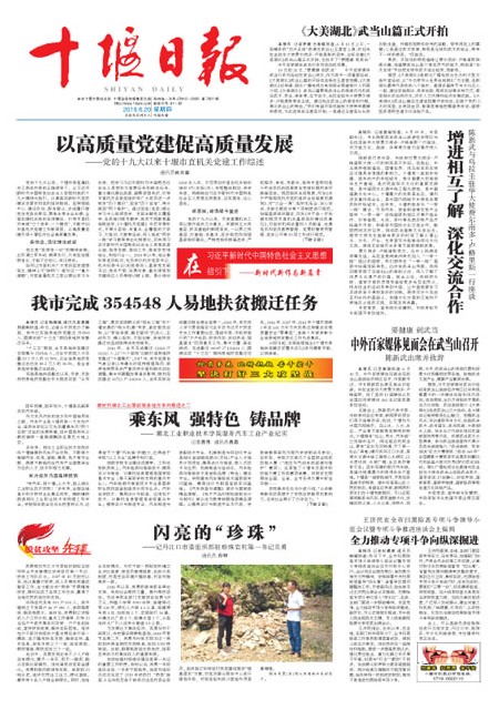 A1版导读