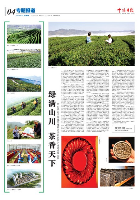 A4版导读