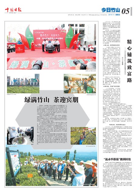 5版导读
