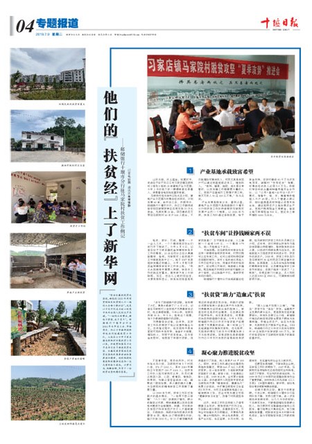 A4版导读