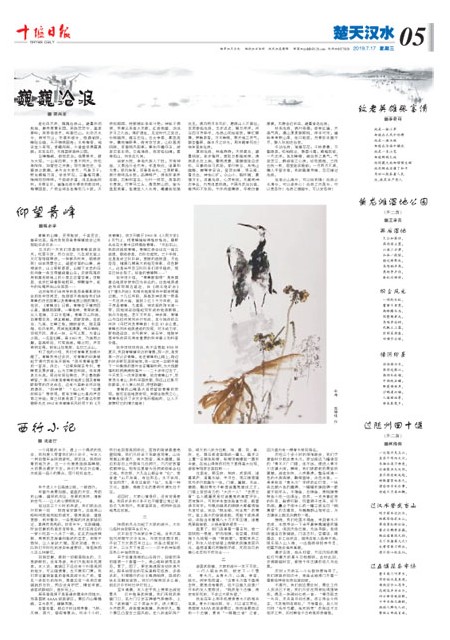 5版导读