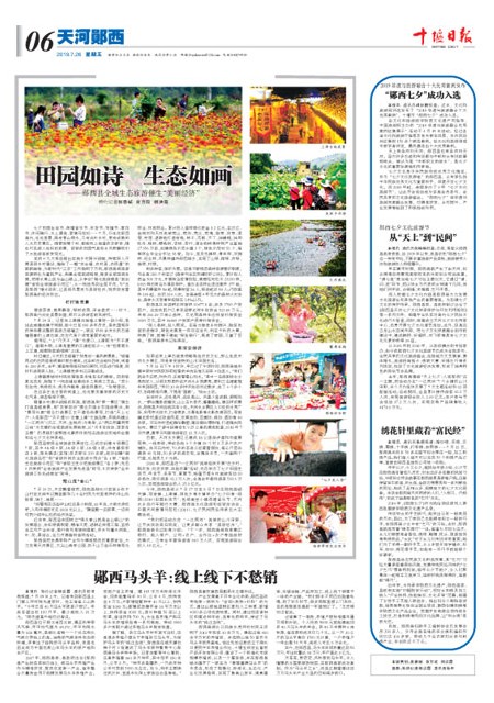 6版导读