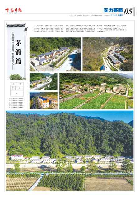 5版导读