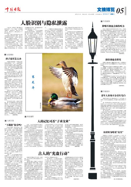 A5版导读