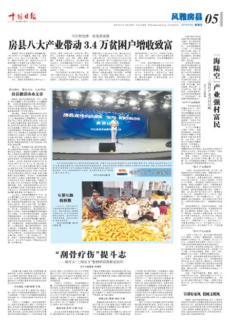5版导读