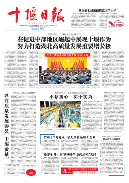 A1版导读