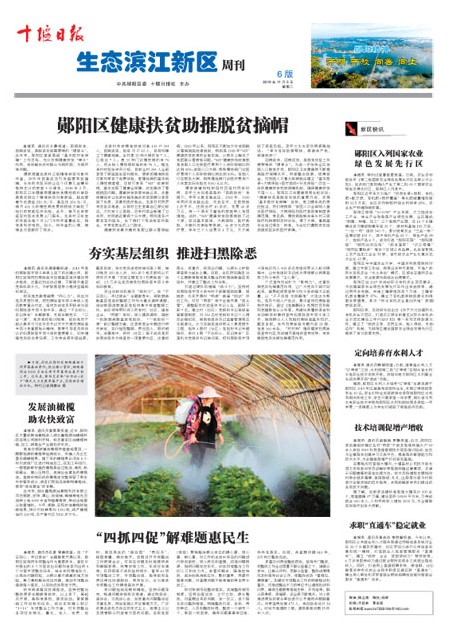 A6版导读