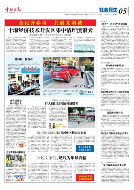 A5版导读