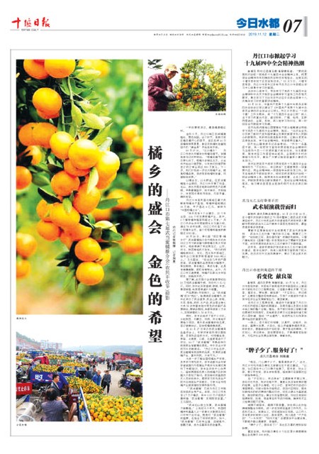 A7版导读