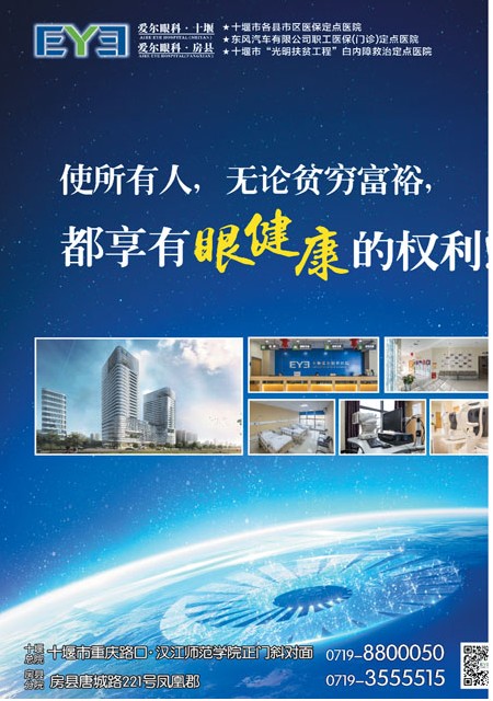 T00版导读