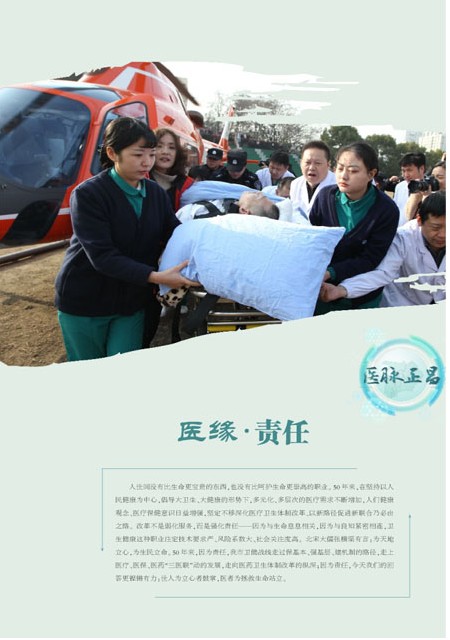 T15版导读