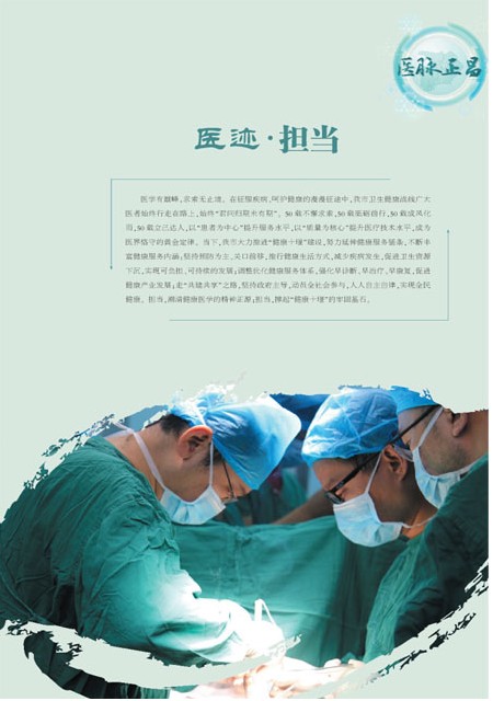 T31版导读
