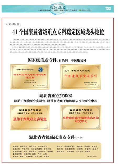 T33版导读